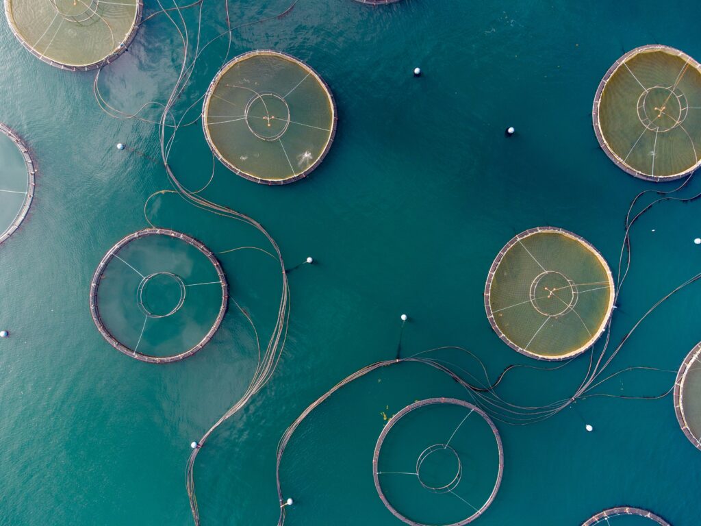 Teste_Aquaculture